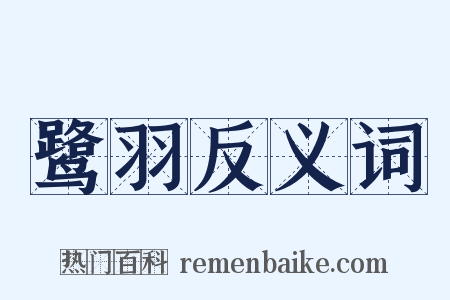 鹭羽反义词是什么意思的图片
